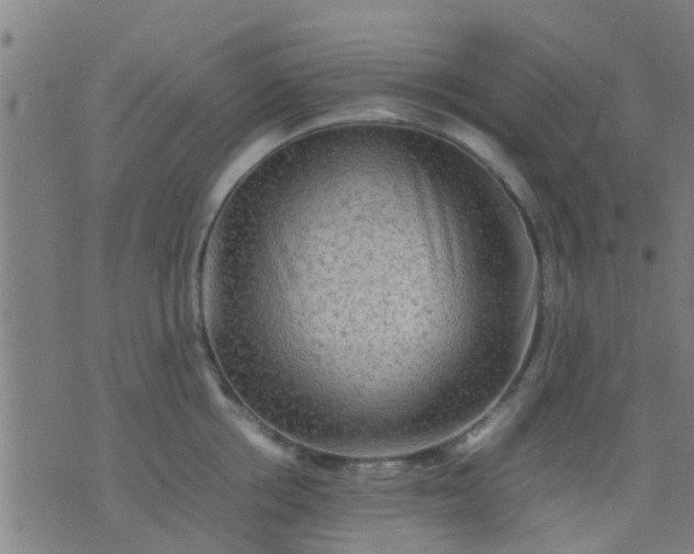 X0000074290858200609081850