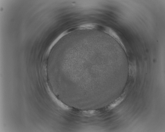 X0000074290859200609081850