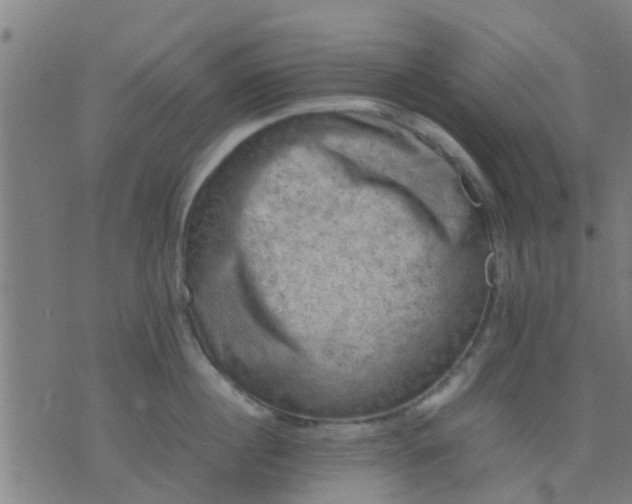 X0000074290860200609081850