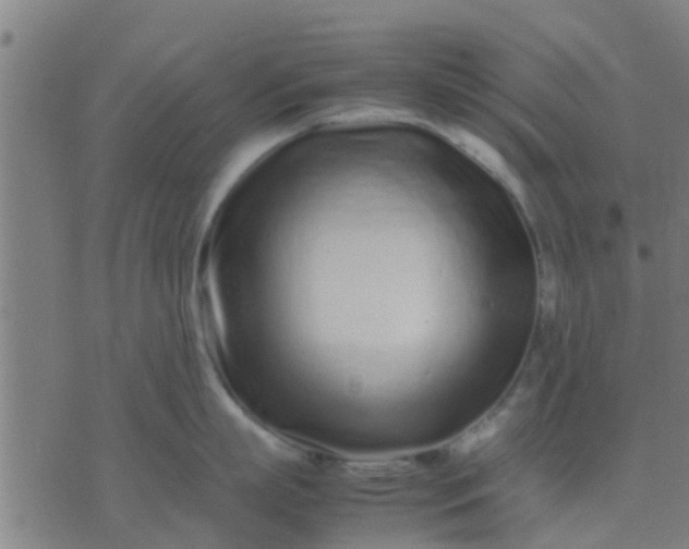 X0000074290863200609081850