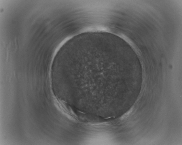 X0000074290864200609081850