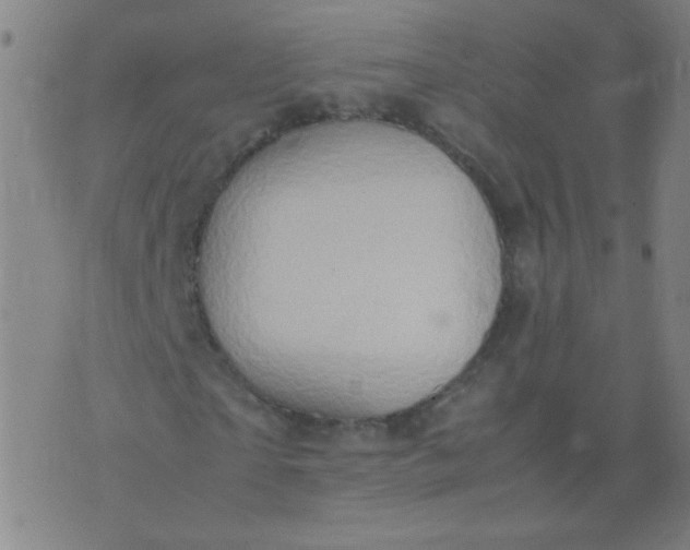 X0000074290865200609081849