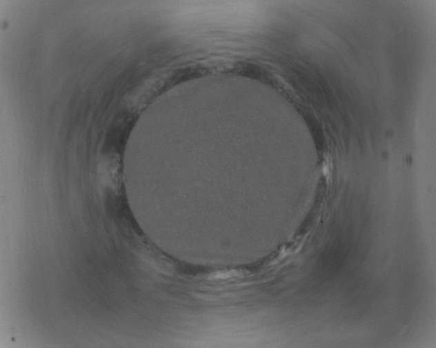 X0000074290867200609081849