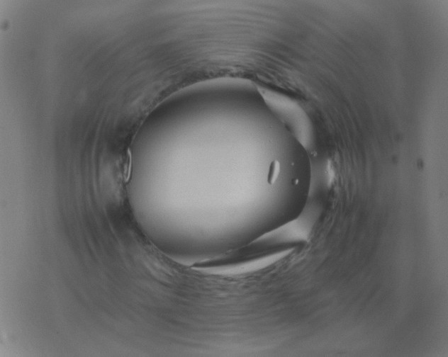 X0000074290868200609081849