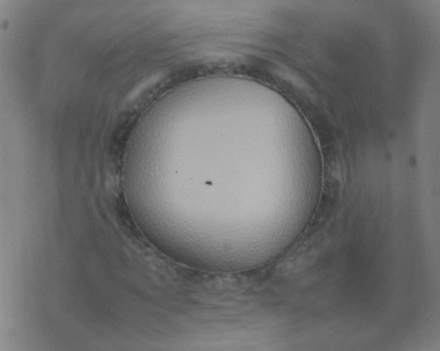 X0000074290869200609081849