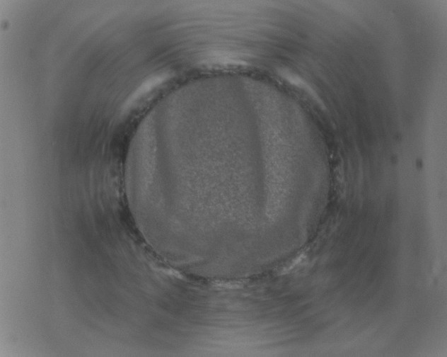 X0000074290870200609081849