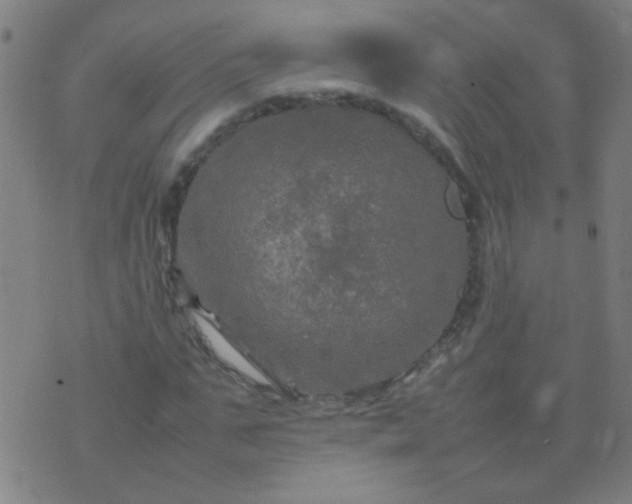 X0000074290871200609081849