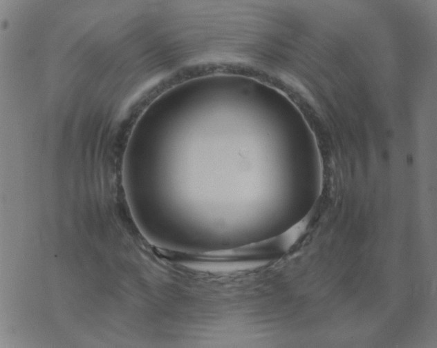 X0000074290872200609081849