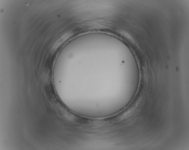 X0000074290873200609081849