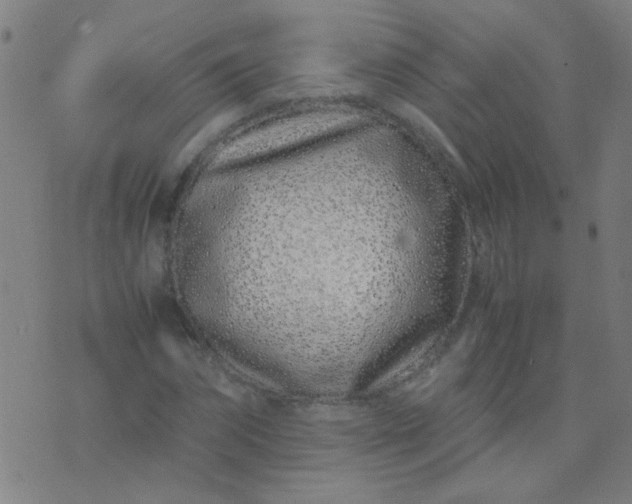 X0000074290874200609081849