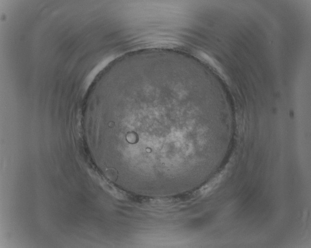 X0000074290875200609081849