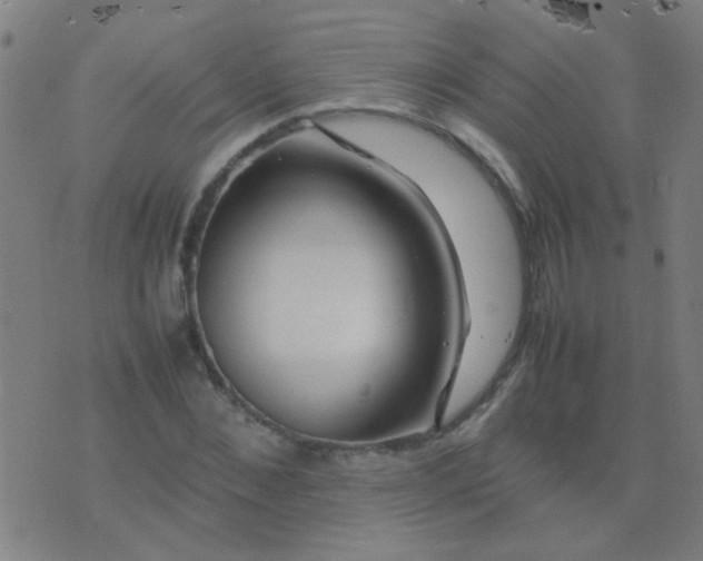 X0000074290876200609081849