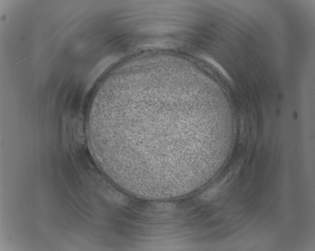 X0000074290878200609081849