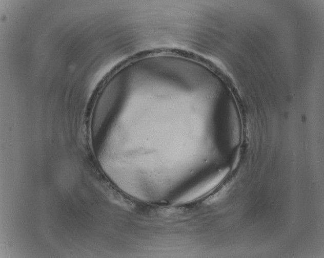 X0000074290879200609081849