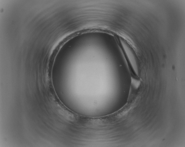 X0000074290880200609081849