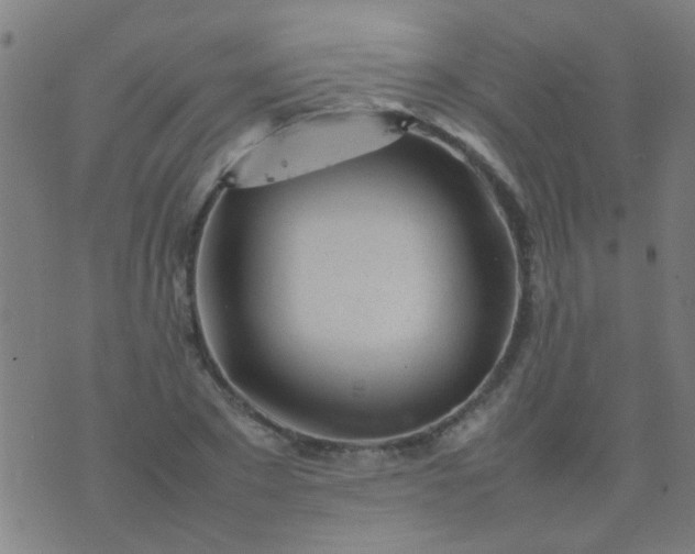 X0000074290881200609081849