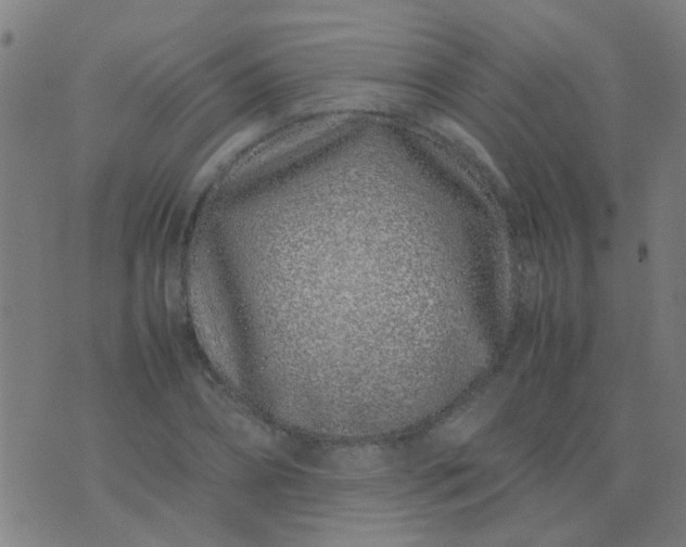 X0000074290882200609081849