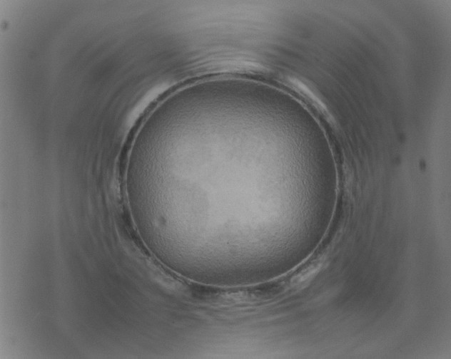 X0000074290883200609081849