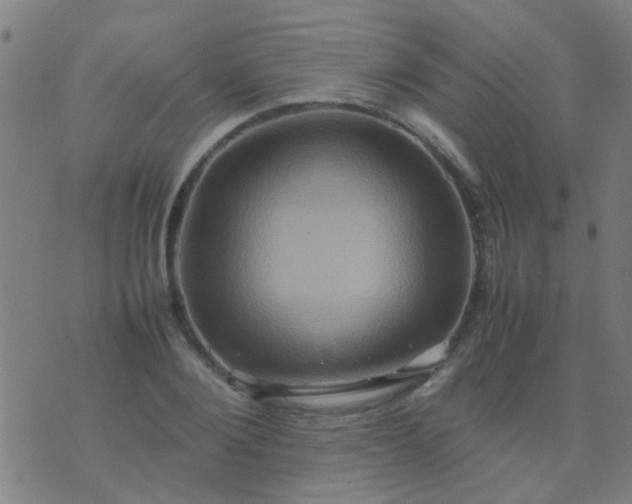 X0000074290884200609081849