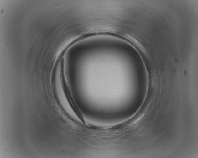 X0000074290885200609081849