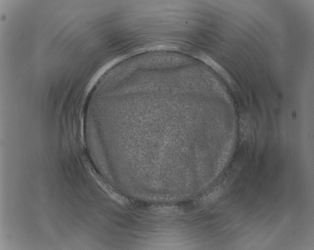 X0000074290886200609081849