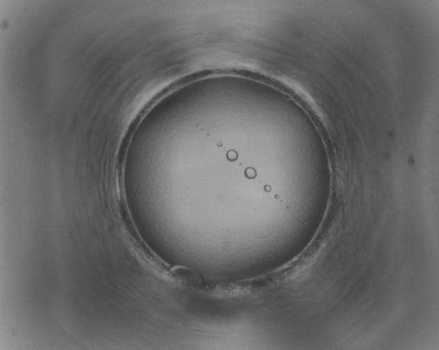 X0000074290887200609081849