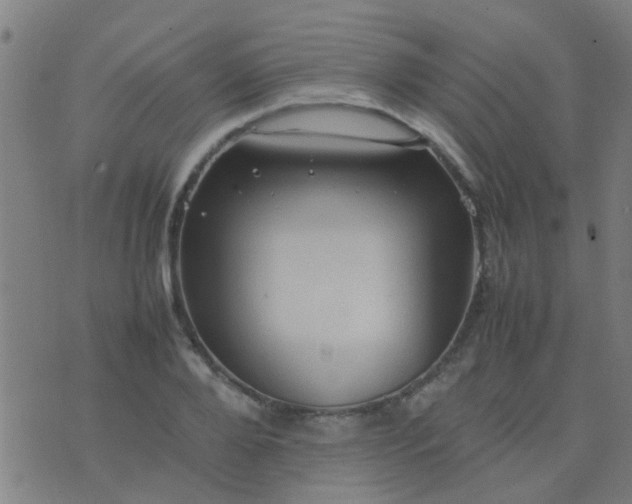 X0000074290888200609081849