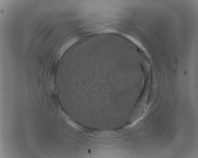 X0000074290889200609081849