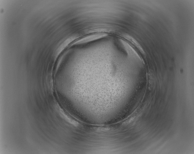 X0000074290890200609081849