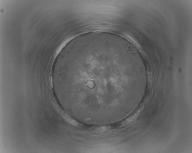 X0000074290891200609081849