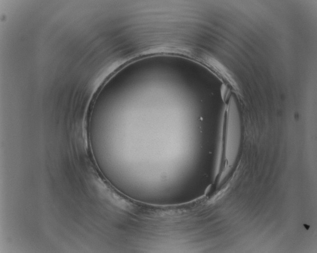 X0000074290892200609081849