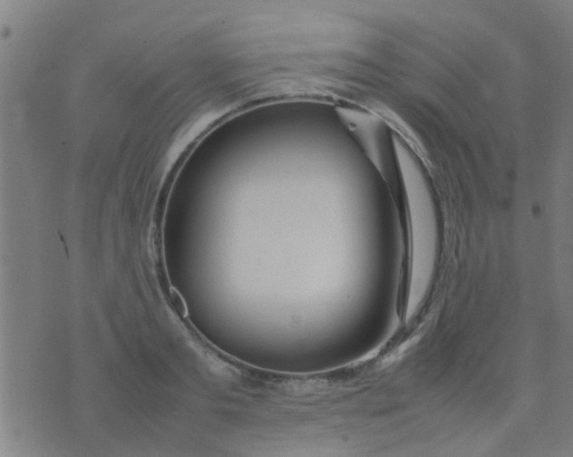 X0000074290893200609081849