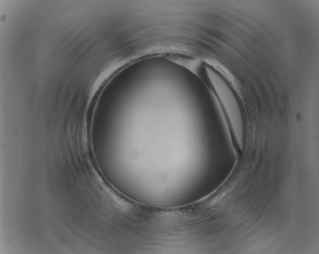 X0000074290894200609081849