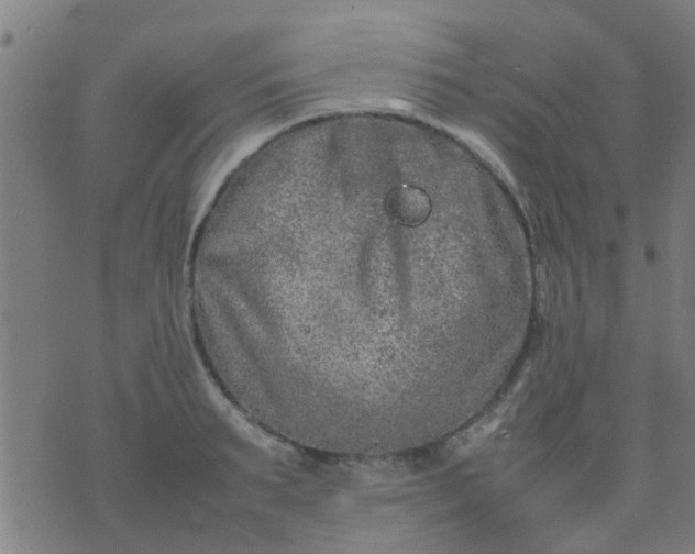 X0000074290895200609081849