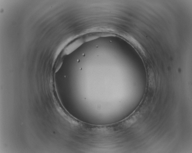 X0000074290896200609081849