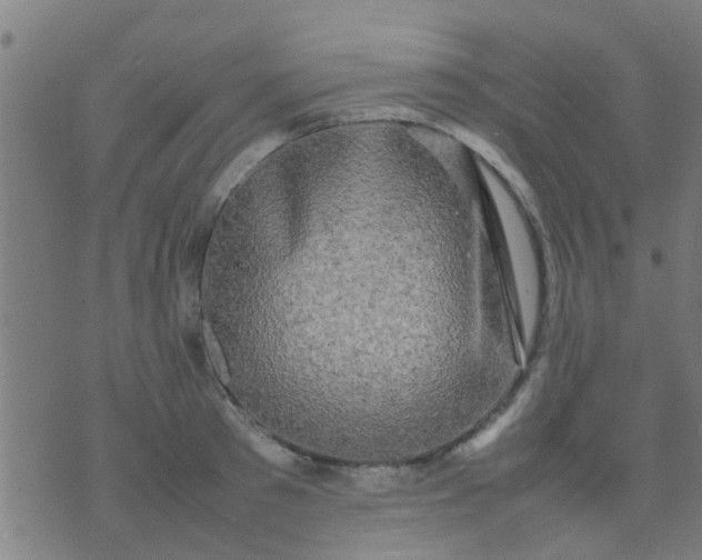 X0000074290897200609081849