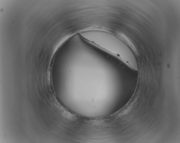 X0000074290900200609081849