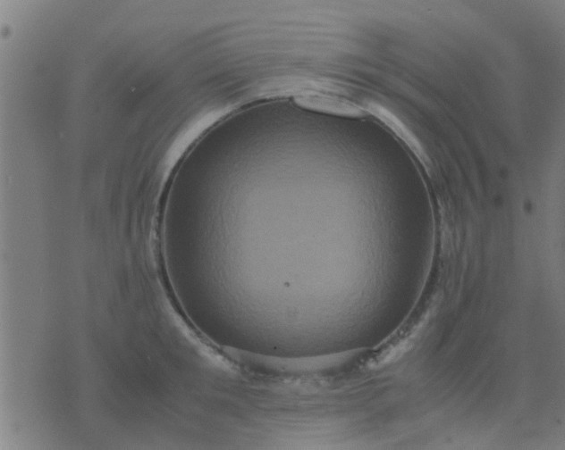 X0000074290901200609081849