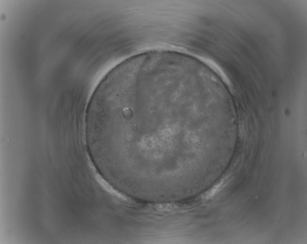 X0000074290903200609081849