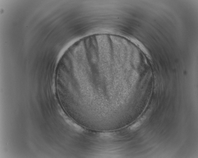 X0000074290904200609081849