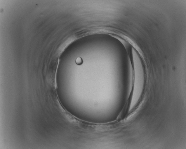 X0000074290905200609081849