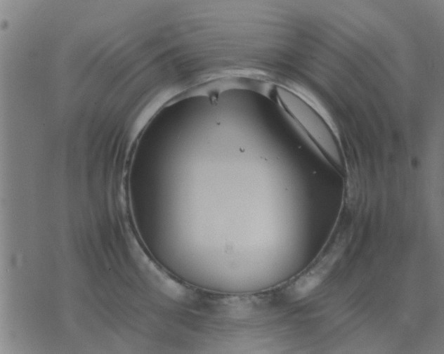 X0000074290906200609081849