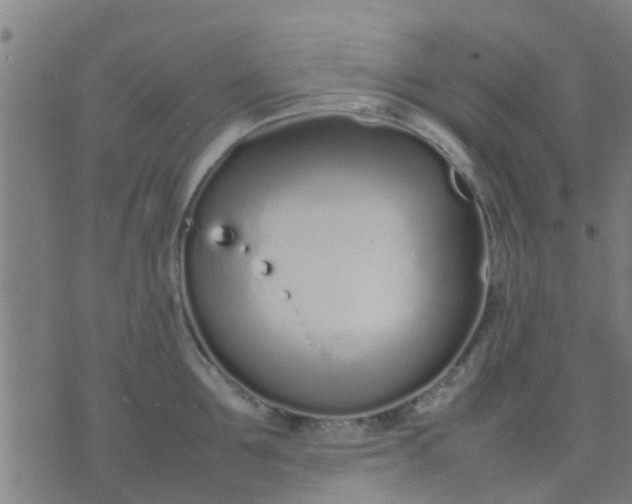 X0000074290907200609081849