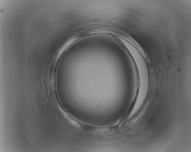 X0000074290909200609081849