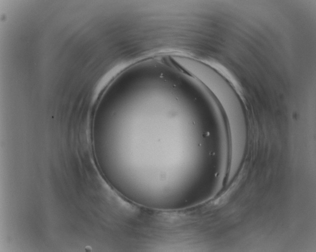 X0000074290910200609081849