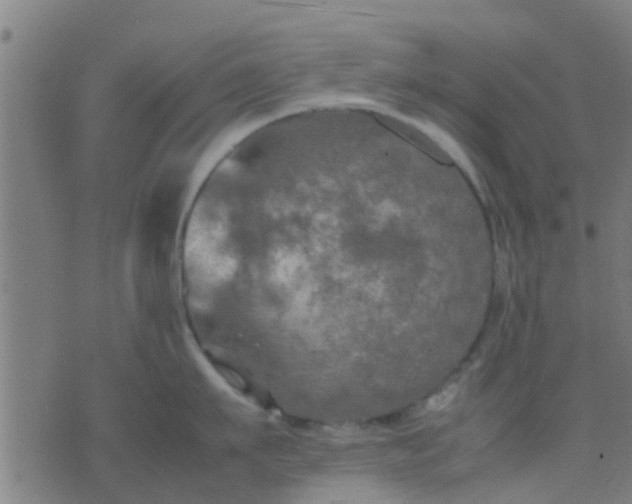 X0000074290911200609081849