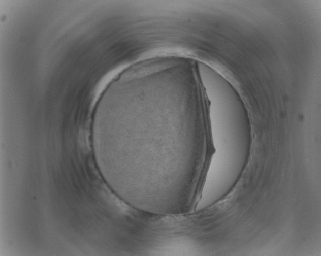 X0000074290912200609081849