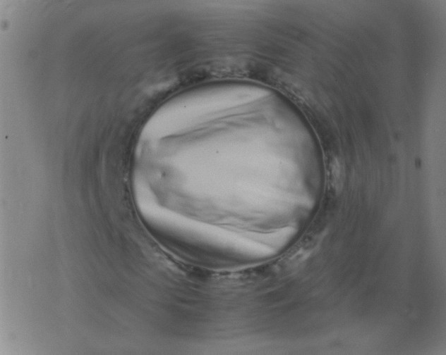 X0000074290913200609081848