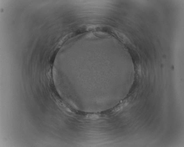 X0000074290914200609081848