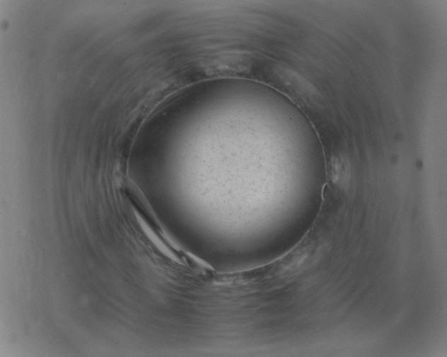 X0000074290915200609081848